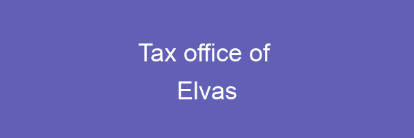 Logo Elvas