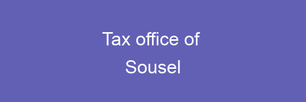 Logo Sousel