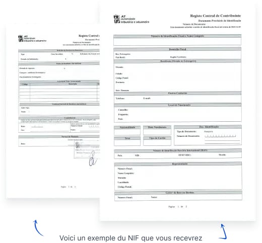 NIF document