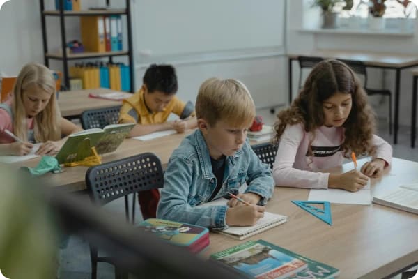 educação_básica_expatriados_portugal-1734476231.webp