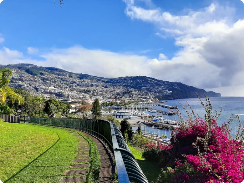 expats liv i funchal madeira