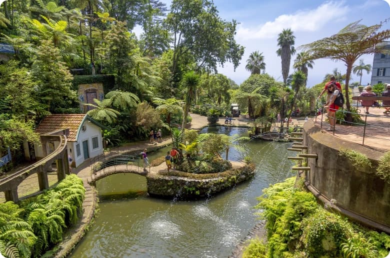 Funchal Madeira for expats