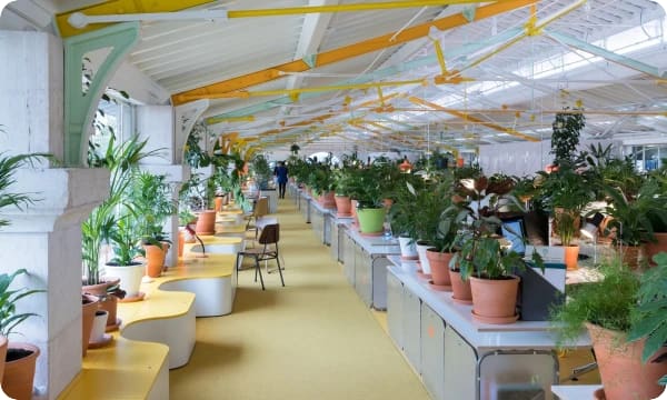 Coworking en Lisboa