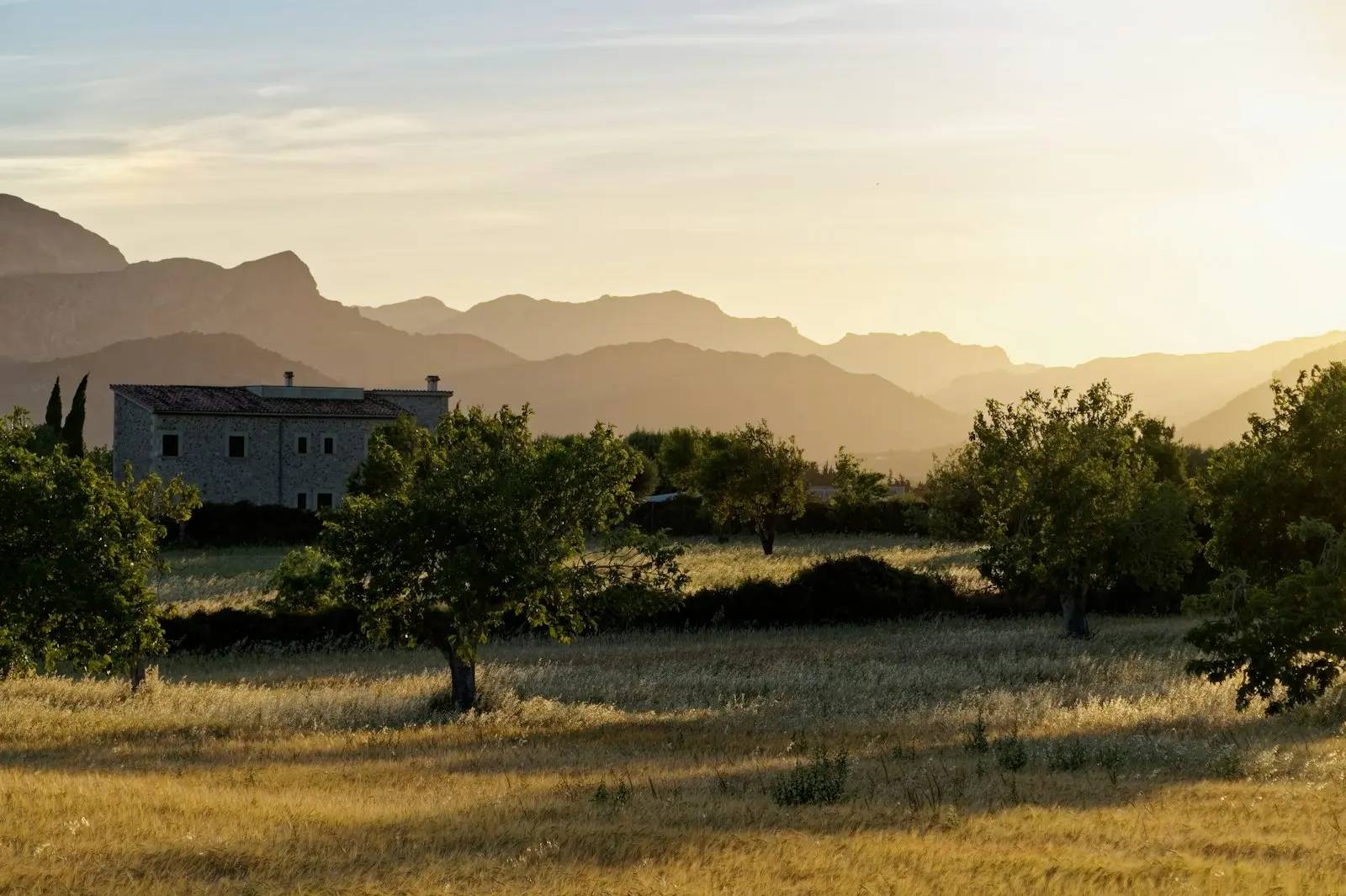 Un’antica finca in pietra tra alberi e campi dorati, con montagne al tramonto, a Maiorca, in Spagna