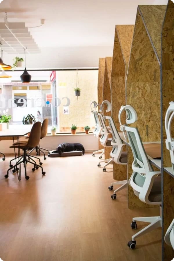 coworking cocreate portimao